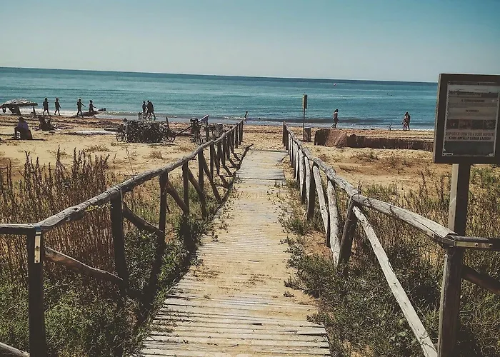 Lido Dei Pini Apartment *